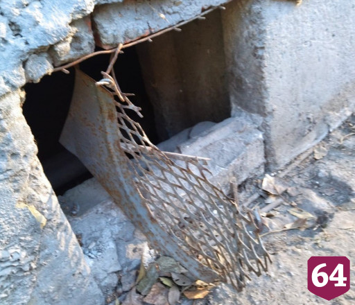 Саратовцы боятся выходить во двор из-за живущих в подвале агрессивных собак 