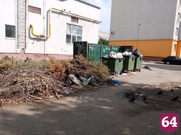 Горожанка поставила «неуд» за уборку мусора у школы
