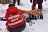Тело пропавшего перед Новым годом саратовца нашли в погребе