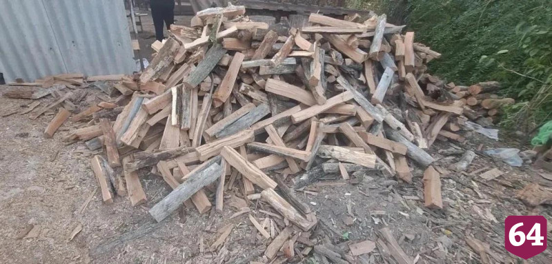 Саратовец вырубил более 100 деревьев ради дров для гаража