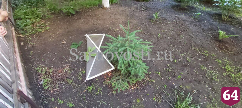 В Саратове 2-летний ребенок выпал из окна и разбился насмерть