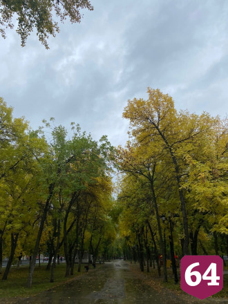 Саратовцы тоскуют о хорошей погоде и фотографируют пейзажи