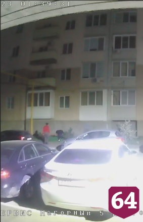 Жителей Саратова возмутили срезавшие тюльпаны с клумбы «три товарища»