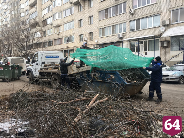 К Новому году города Саратовской области расчистят от растительных отходов