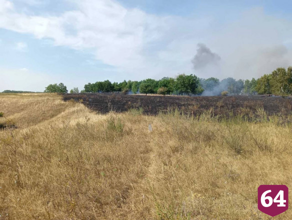 В Саратове огонь от травы перекинулся на лес