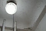 Подъезд саратовской многоэтажки атаковали тысячи комаров