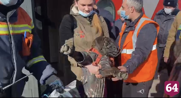 Беженцы из Донбасса приехали в Саратов вместе с собаками