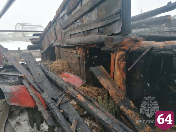 Под Саратовом сгорел сарай со свиньями