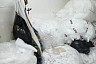 Прихожане саратовского храма варят фронтовые щи и шьют подушки для бойцов СВО