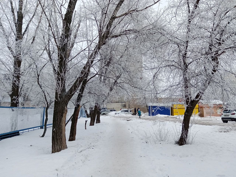 В Саратовской области ожидается 25-градусный мороз