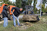 В Саратове на субботник вышли 7 тысяч человек