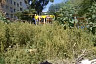 Саратовцы пожаловались на «бомжатник» у детской площадки 