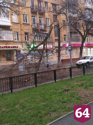 Водители объезжают по тротуару повисшее на проводах дерево