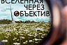 Парк покорителей космоса откроет для саратовцев фотопортал во Вселенную