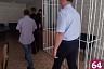 Саратовец зарезал напарника и получил 8 лет строгого режима