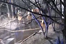 Саратовские пожарные тушили машину для уборки улиц
