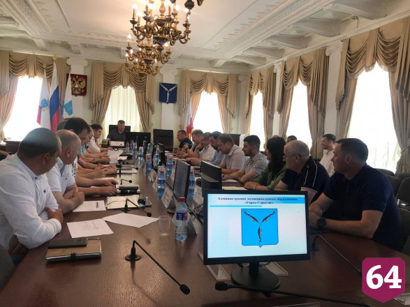За неделю в Саратове поймали 50 бездомных собак
