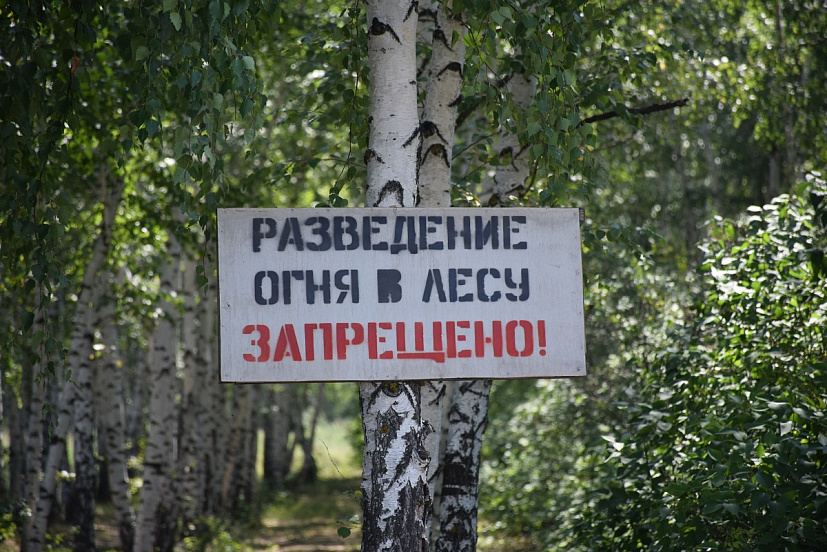 Жителям Саратова запретили посещать Кумысную поляну