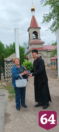 Из новоузенских саженцев в Аткарске высадят аллею в память о воинах