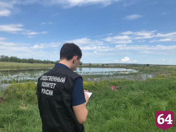 Под Саратовом пастух утонул вместе с лошадью