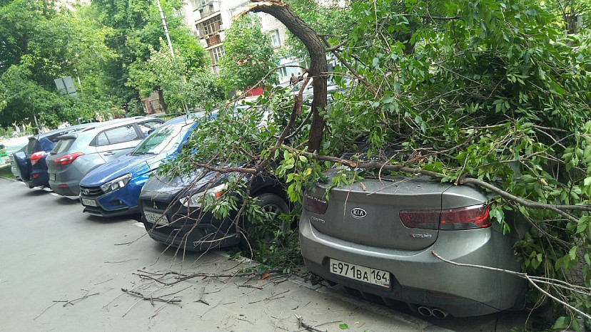 В центре Саратова ветка рухнула на два автомобиля