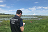 Под Саратовом пастух утонул вместе с лошадью