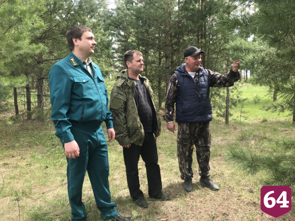 Сгоревший на Первомай лес под Саратовом вырубят и восстановят