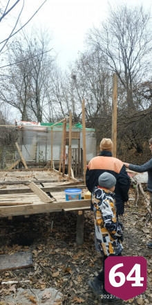 Саратовцев приглашают строить дома для диких птиц