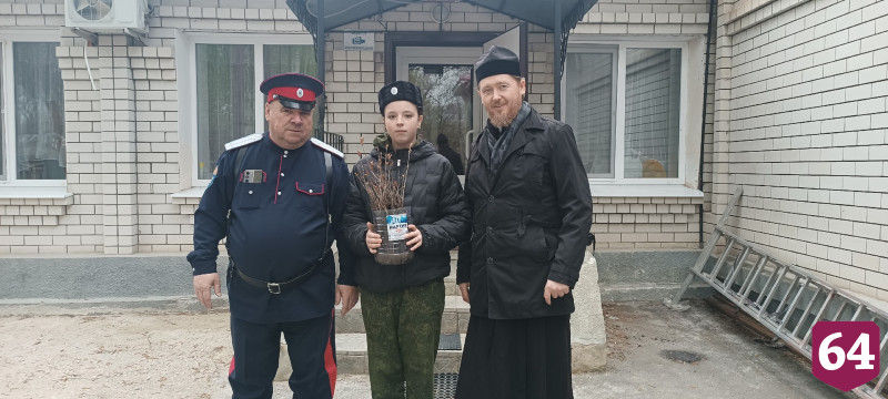 Жителям Саратовской области бесплатно раздают саженцы дубов