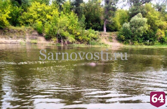 Отдыхающие на городском пляже заметили труп в камышах