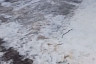 Саратовцы ползли до детсада из-за обледеневших улиц