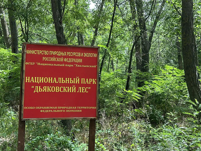 В саратовском национальном парке построят домики для посетителей
