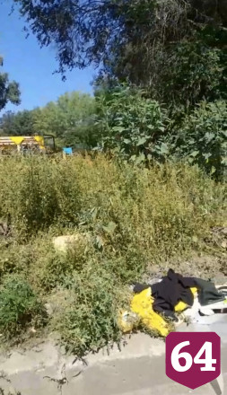 Саратовцы пожаловались на «бомжатник» у детской площадки 