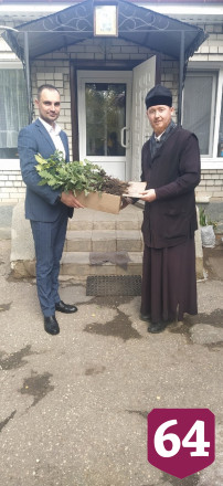 Священник создал у храма лесопитомник и раздает по Заволжью дубы