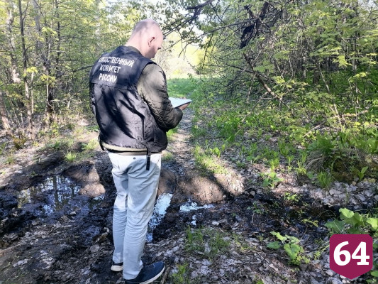 В Саратове на дне оврага нашли человеческий череп