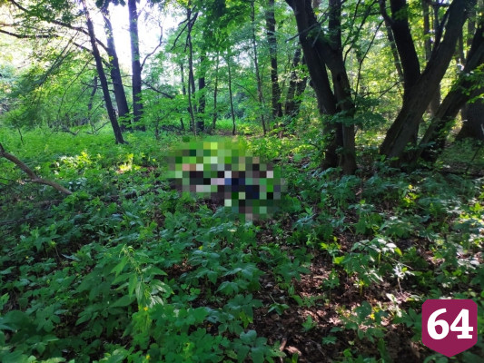 В саратовском лесу нашли труп молодого мужчины