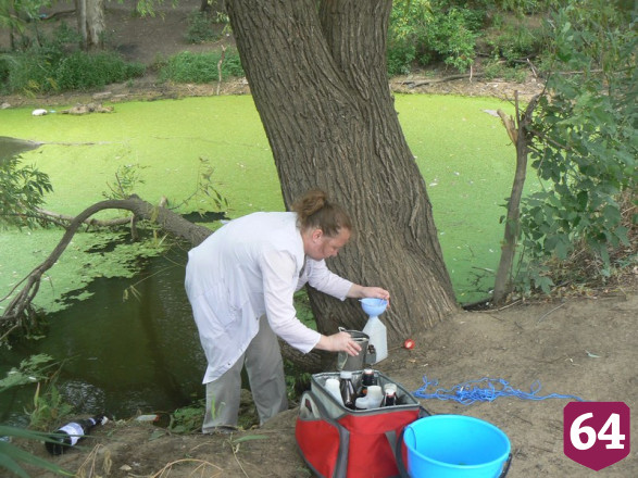 В саратовском пруду проверят воду после многочисленных жалоб