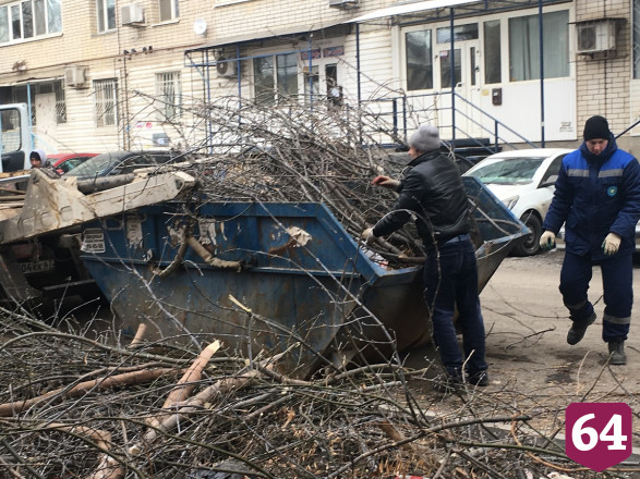 К Новому году города Саратовской области расчистят от растительных отходов