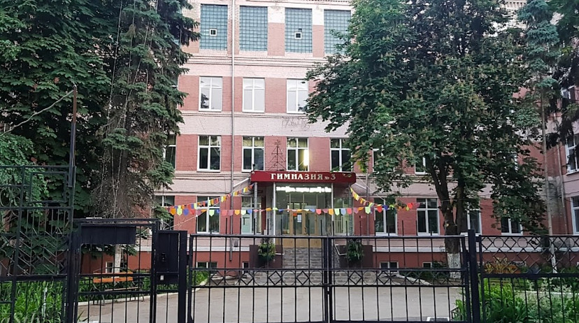 Новость о вырубке елей у гимназии в Саратове оказалась фейком