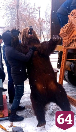 В Хвалынске дали имя музейному медведю
