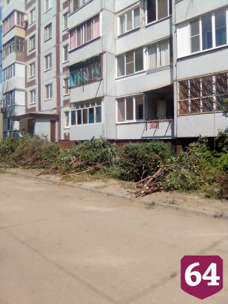 Горожане возмутились вырубкой «25 кустов красоты»