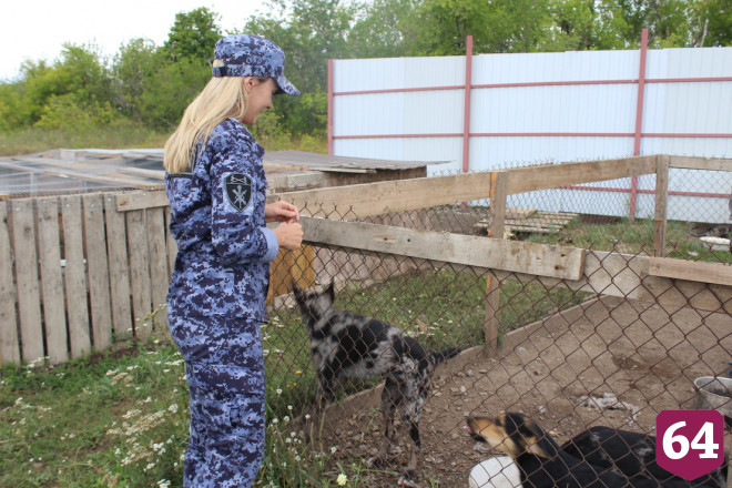 Саратовские кинологи приехали с мясом к собакам из приюта