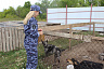 Саратовские кинологи приехали с мясом к собакам из приюта