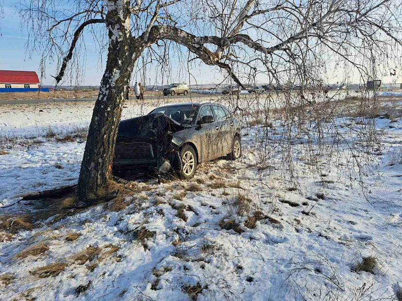 Под Саратовом от удара «Жигулей» кроссовер улетел в дерево