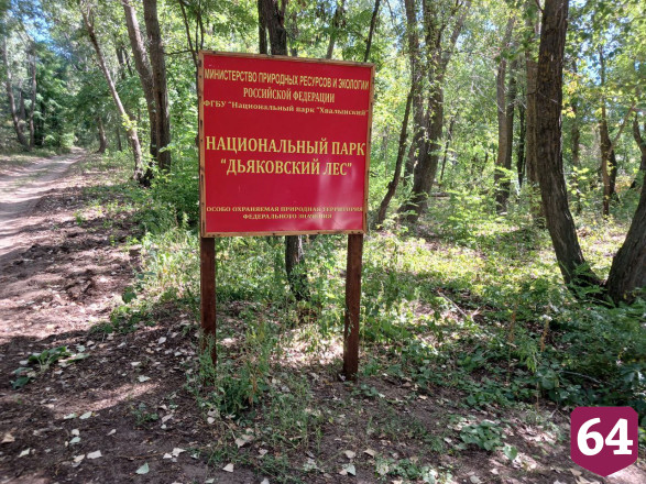 Саратовские рукодельницы сплели насекомых для музея нацпарка