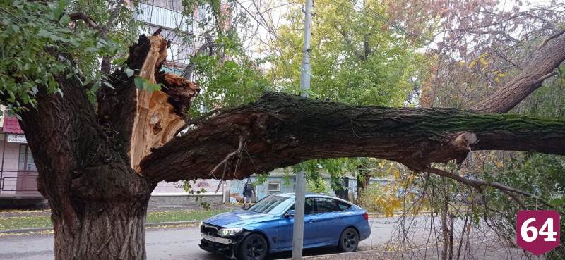 В Саратове упавшее на дом дерево повисло над тротуаром