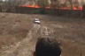 В Саратовской области ликвидирован лесной пожар