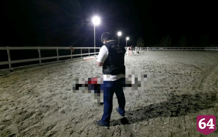 Под Саратовом рабочего убило током в загоне для лошадей 
