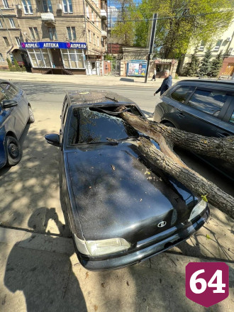 В центре Саратова дерево рухнуло на два автомобиля