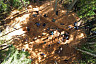 Саратовские поисковики провели раскопки на забытом захоронении под Псковом